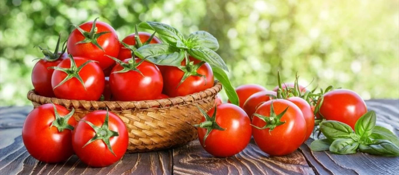Αυτό είναι το λάθος που «χαντακώνει» τα θρεπτικά συστατικά της ντομάτας